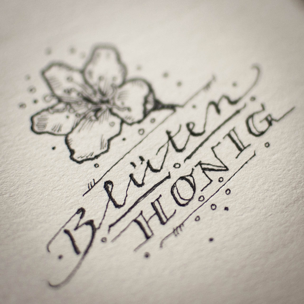 Illustration mit Blütenhonig-Schriftzug für Honigetikett